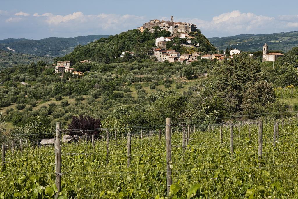 La Dragona Διαμέρισμα Castel del Piano  Δωμάτιο φωτογραφία
